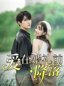 愛(ài)在婚禮前降落