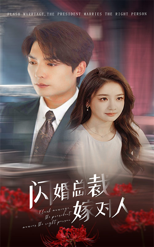 閃婚總裁嫁對人