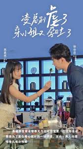 凌總別虐了，桑小姐又孕吐了