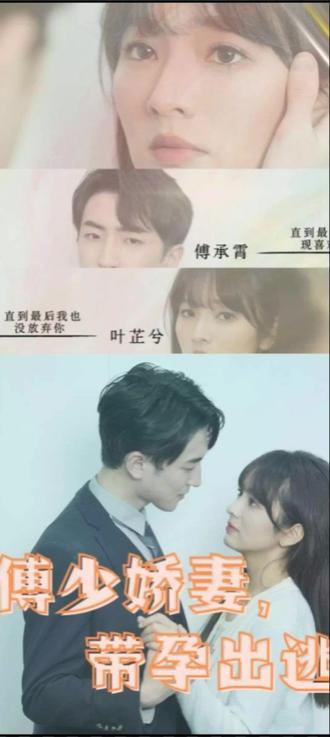 傅少嬌妻，帶孕出逃