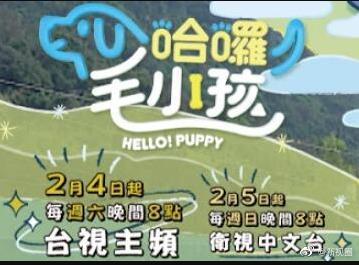 哈啰！毛小孩