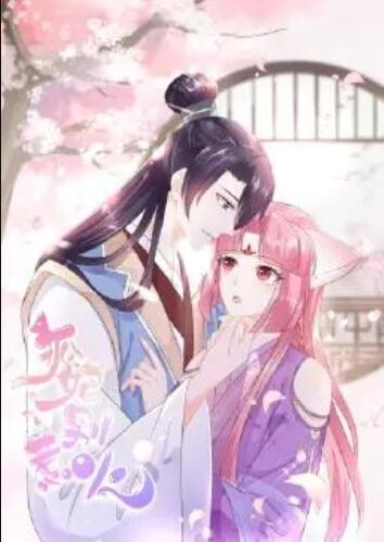 狐妃，別惹火