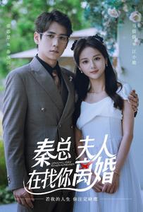 秦總，夫人在找你離婚