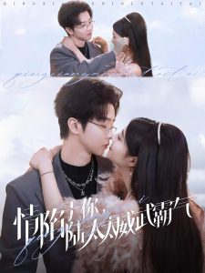 情陷于你，陸太太威武霸氣