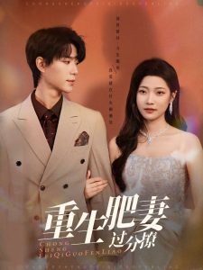 重生肥妻過(guò)分撩