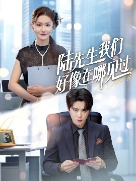 陸先生我們好像在哪見過