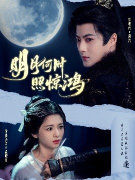 明月何時(shí)照驚鴻