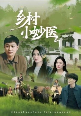 鄉(xiāng)村小妙醫(yī)