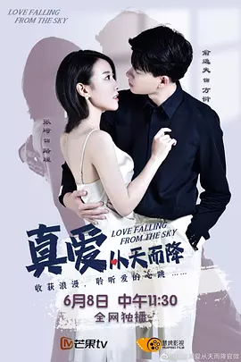 真愛從天而降第一季