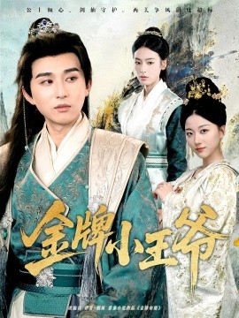 金牌小王爺