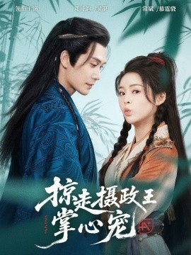 掠走攝政王掌心寵