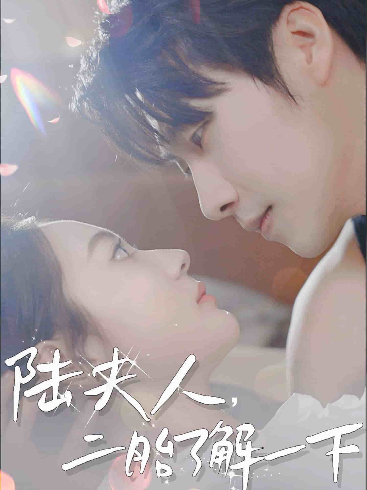 陸夫人，二胎了解一下