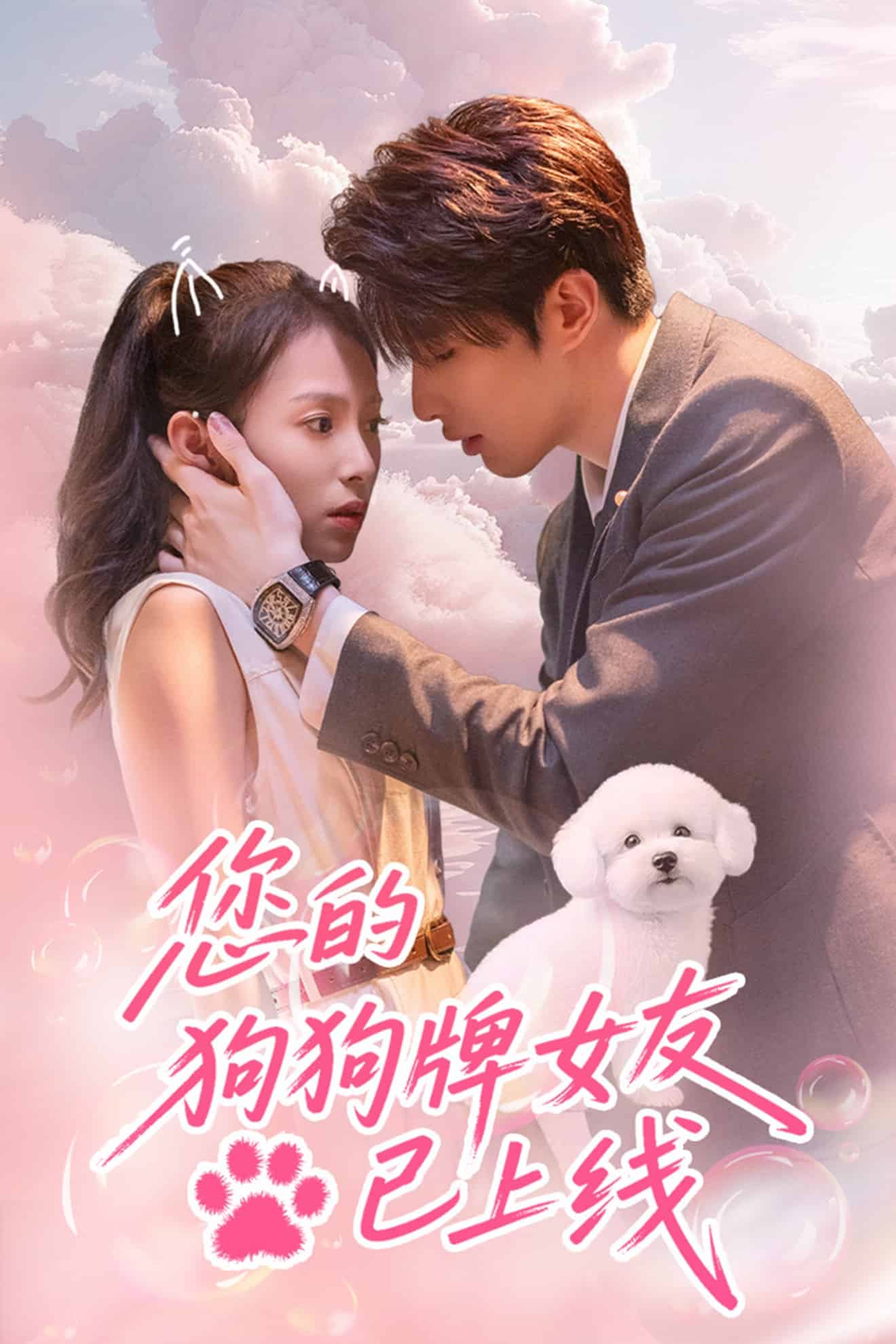 您的狗狗牌女友已上線