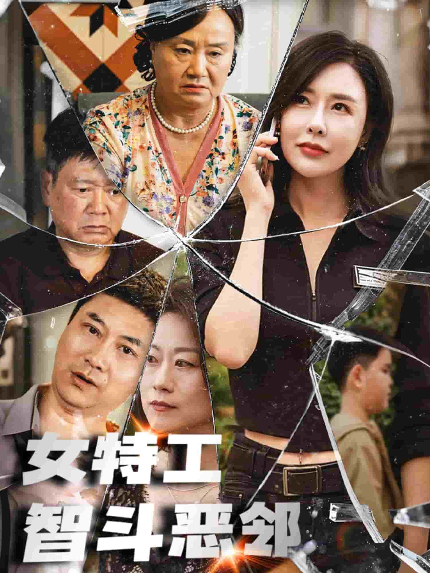 女特工智斗惡鄰