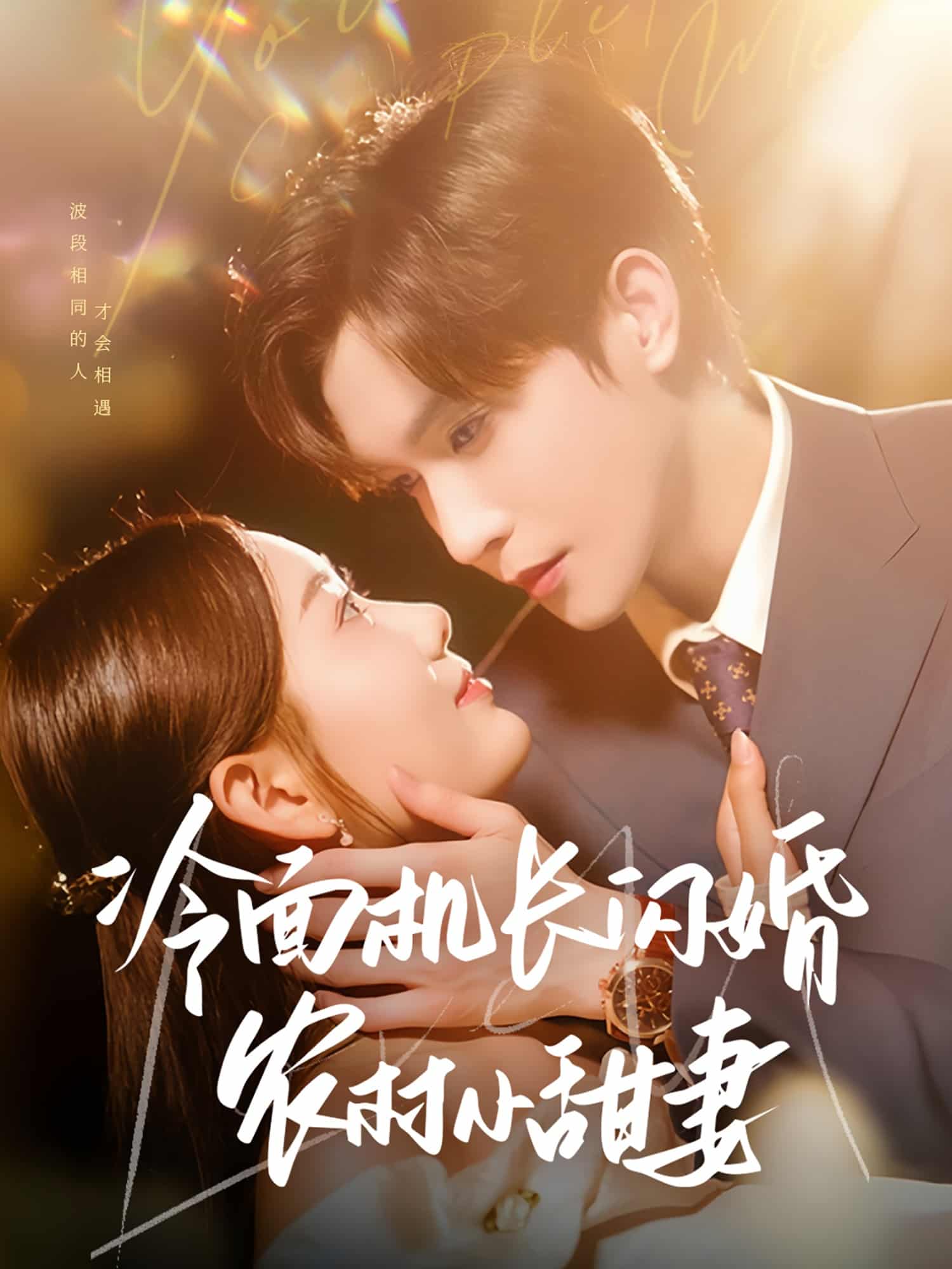 冷面機(jī)長閃婚農(nóng)村小甜妻