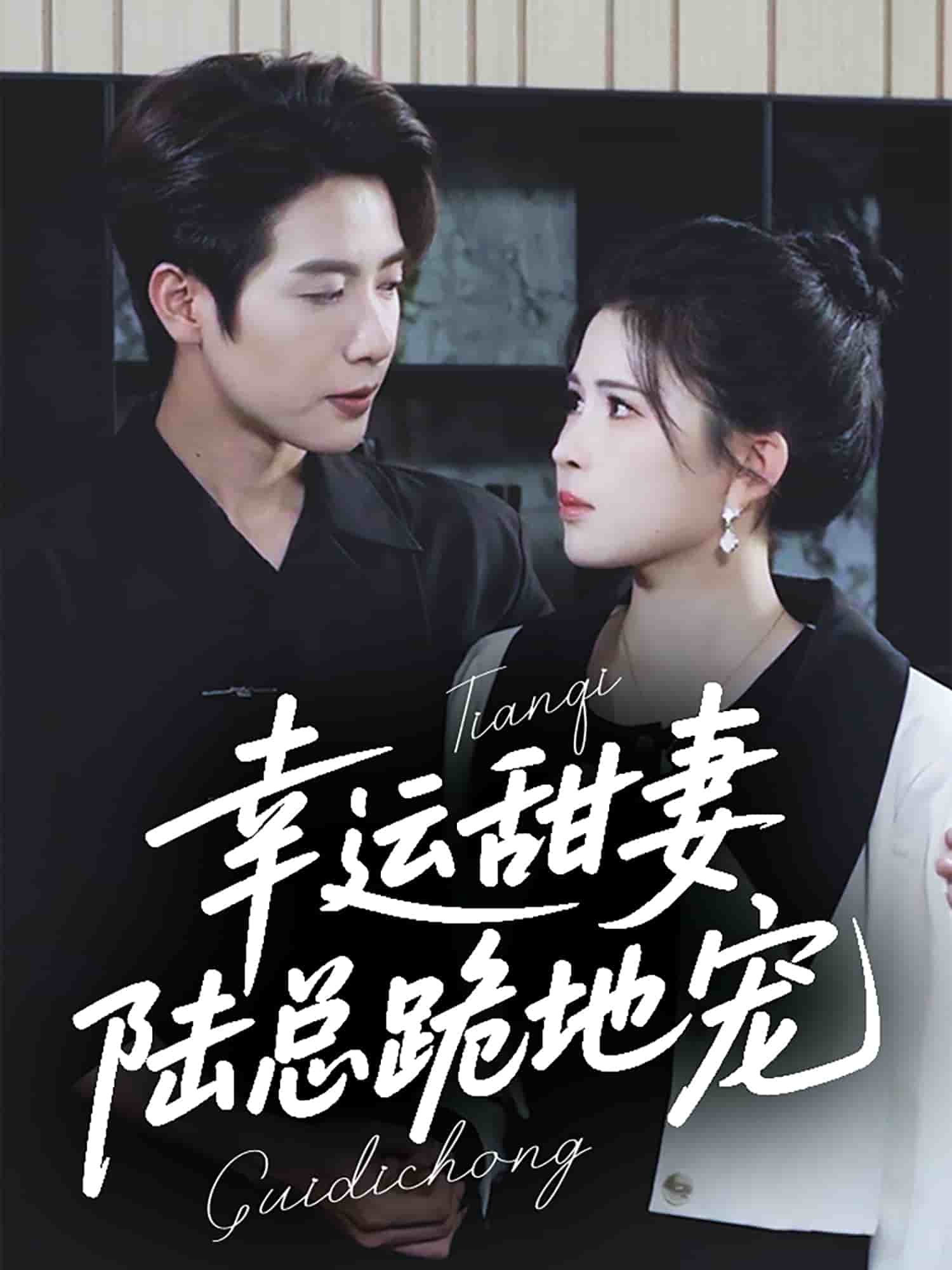 幸運甜妻，陸總跪地寵