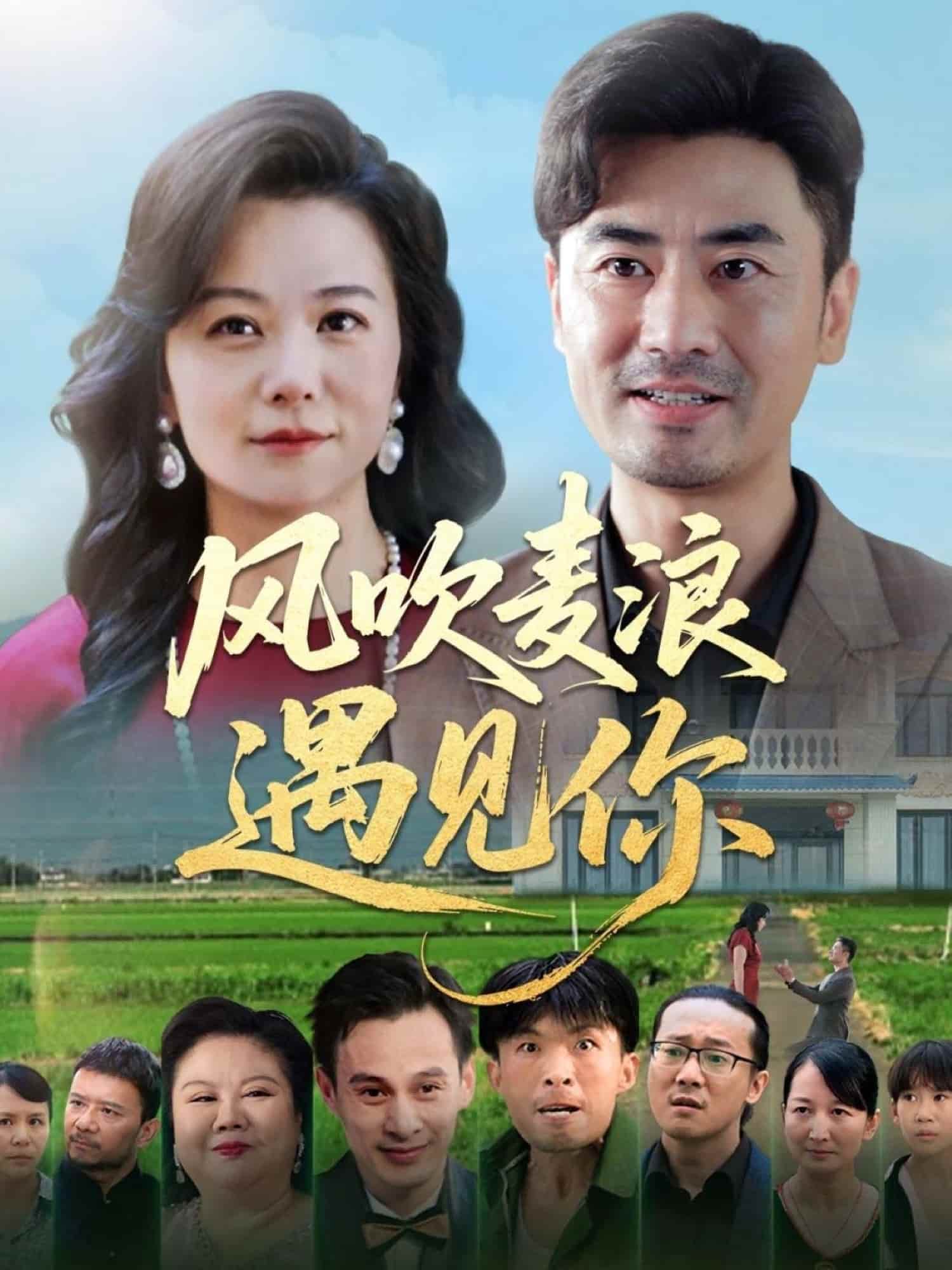 風(fēng)吹麥浪遇見你