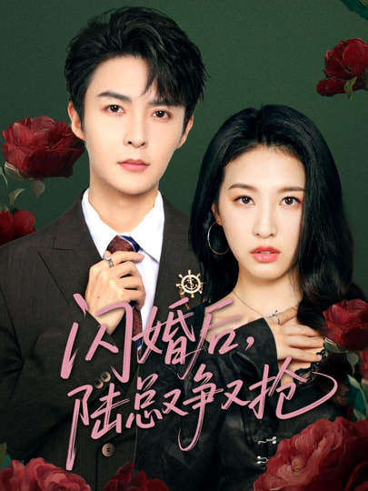 閃婚后陸總又爭又搶