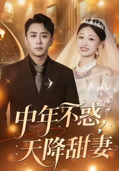 中年不惑，天降甜妻