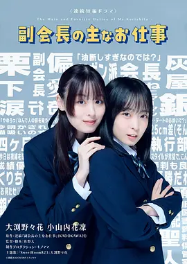 副會(huì)長(zhǎng)的主要工作