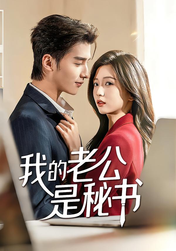 我的老公是秘書