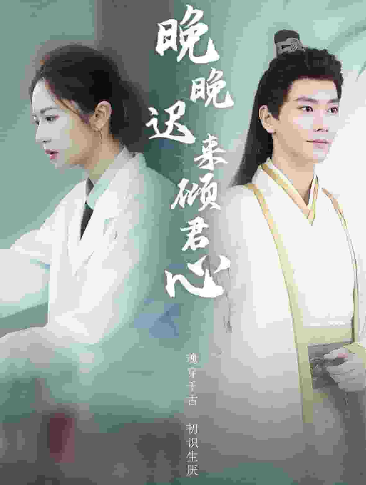 晚晚遲來傾君心