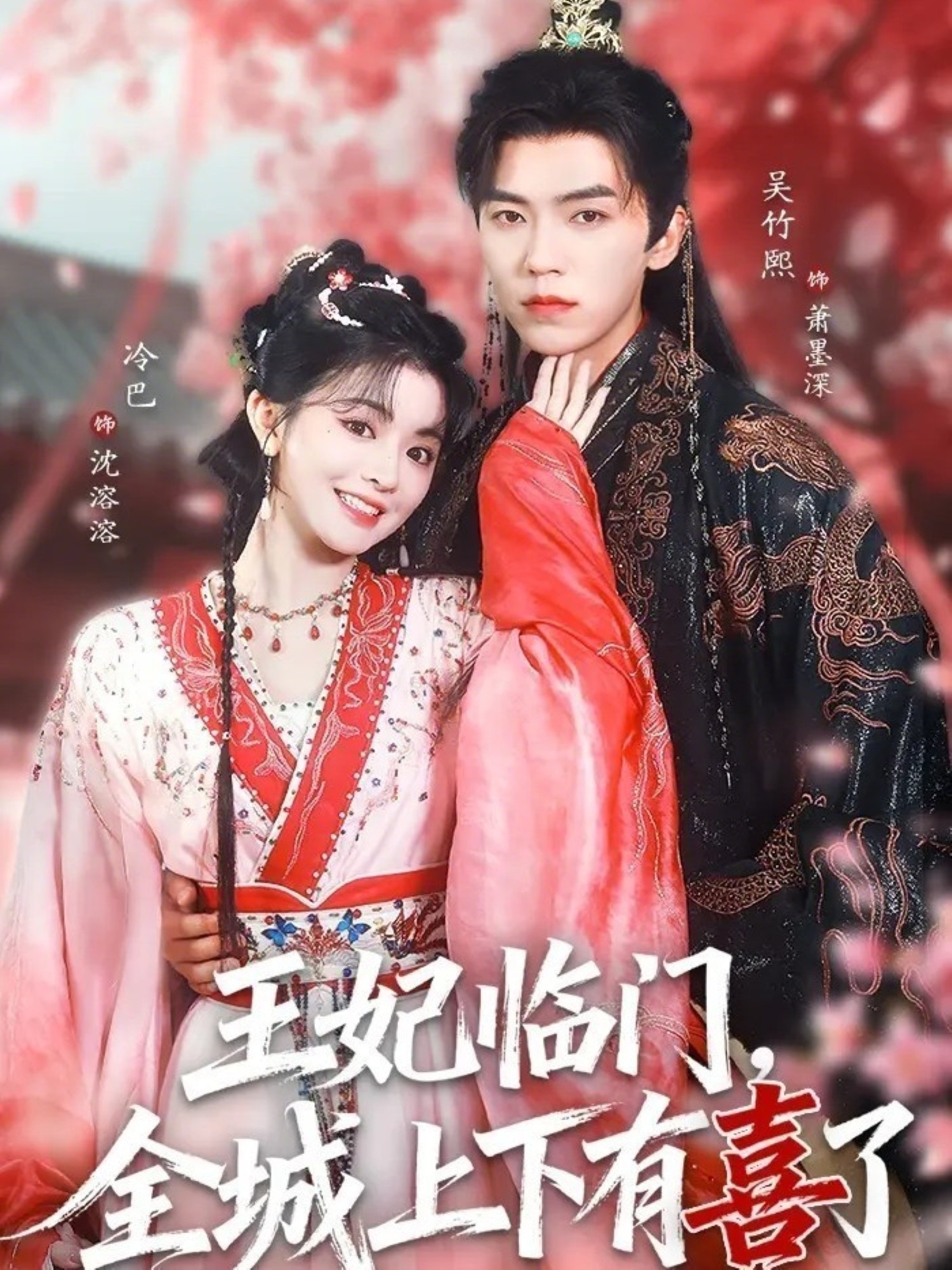 王妃臨門(mén)全城上下有喜了