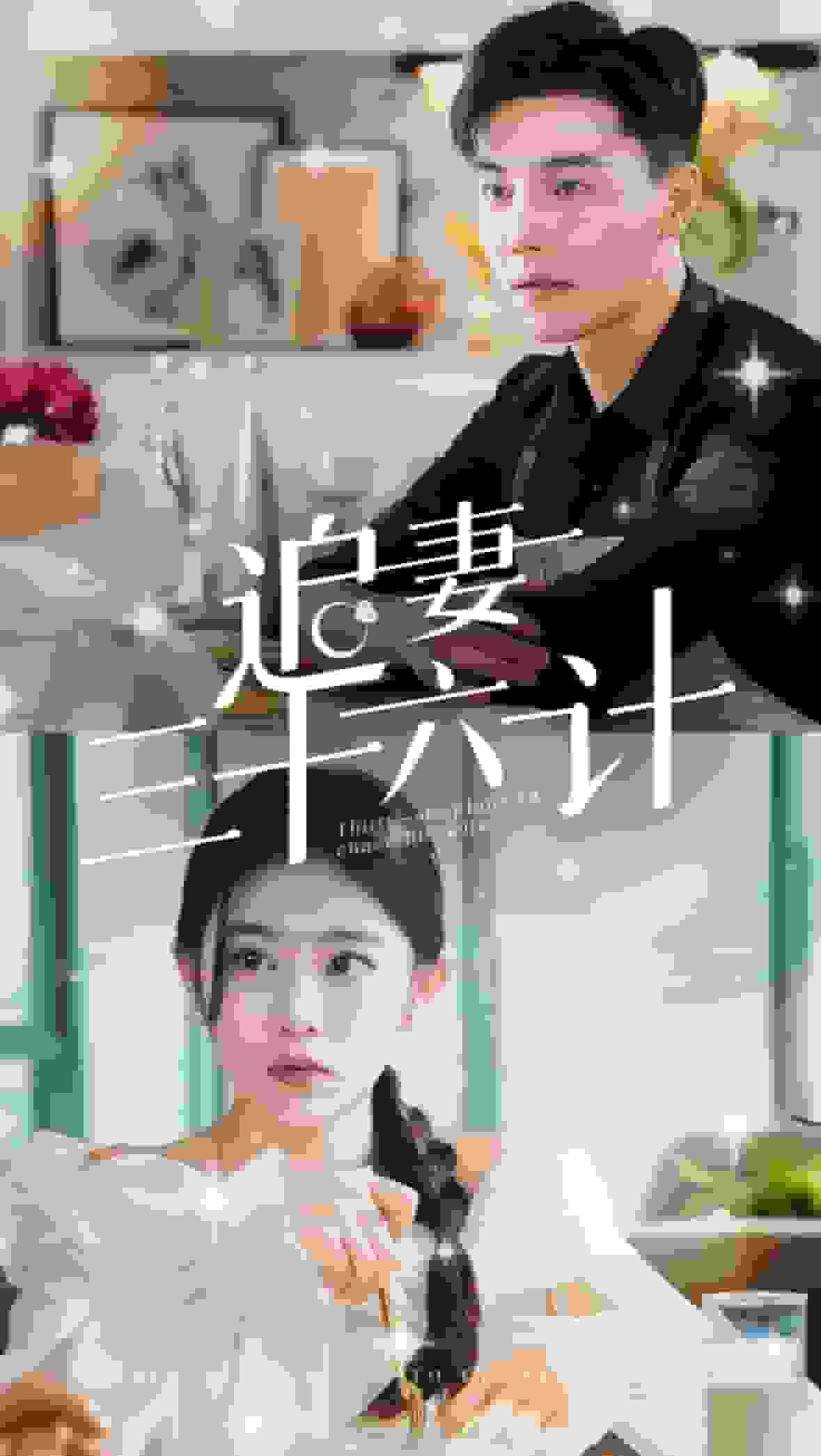 追妻三十六計(jì)