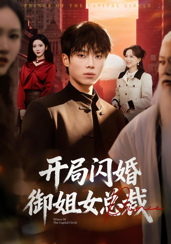 開局閃婚御姐女總裁