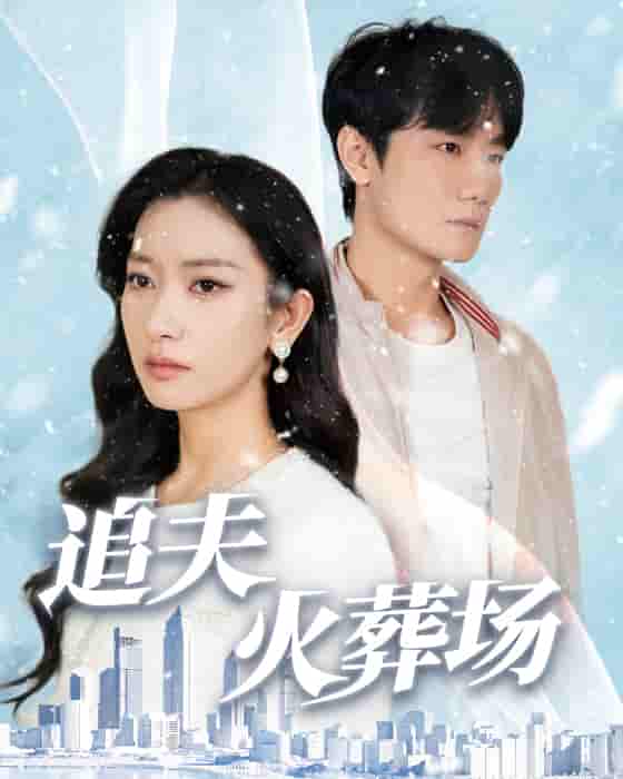 追夫火葬場(chǎng)