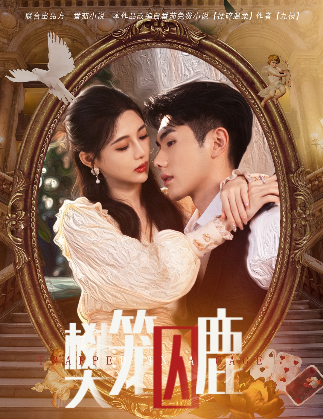 偏執(zhí)大佬的金絲雀