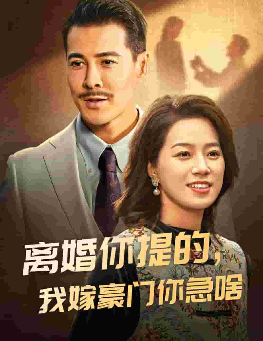 離婚你提的，我嫁豪門你急啥