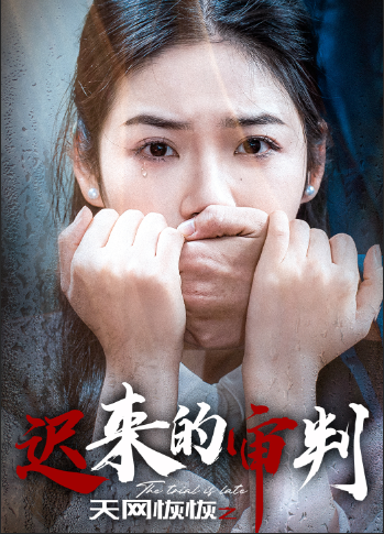 天網(wǎng)恢恢之遲來(lái)的審判