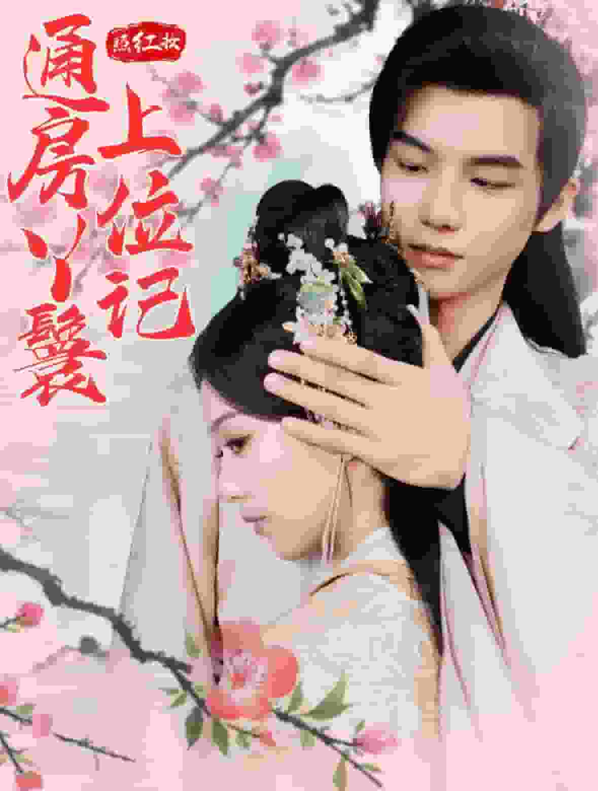 照紅妝通房丫鬟上位記