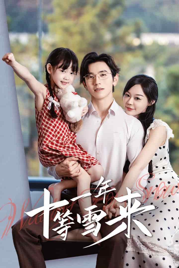 十一年等雪來