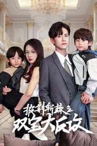 披荊斬棘之雙寶大反攻