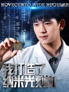 我打造了納米光刻機