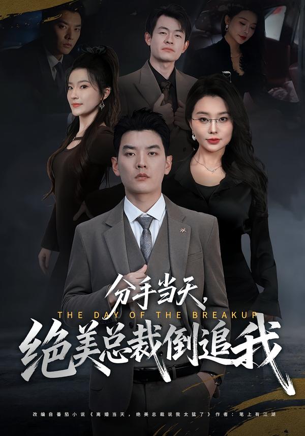 分手當(dāng)天，絕美總裁倒追我