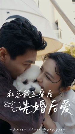 和總裁互穿后先婚后愛