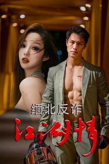 緬北反詐江湖情