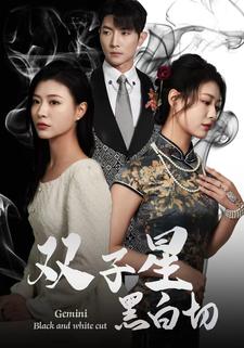 雙子星黑白切