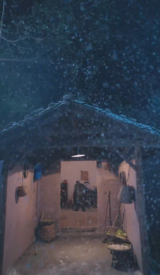 春雪落無(wú)聲