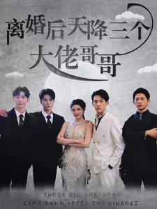 離婚后天降三個大佬哥哥