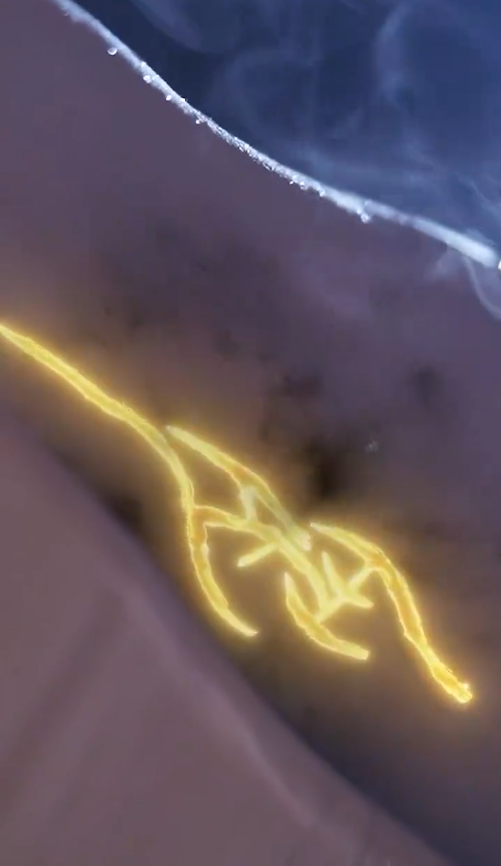 緣來仙妻就是你