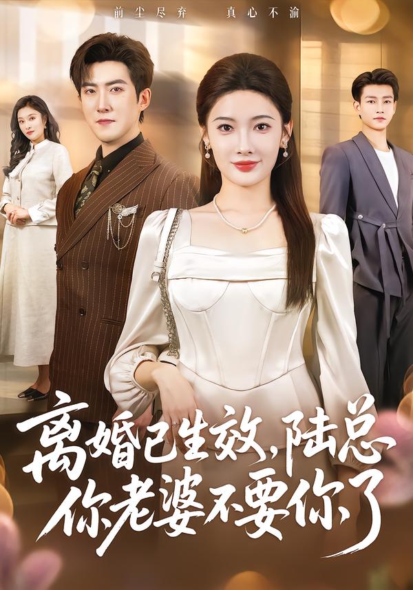 離婚已生效，陸總你老婆不要你了