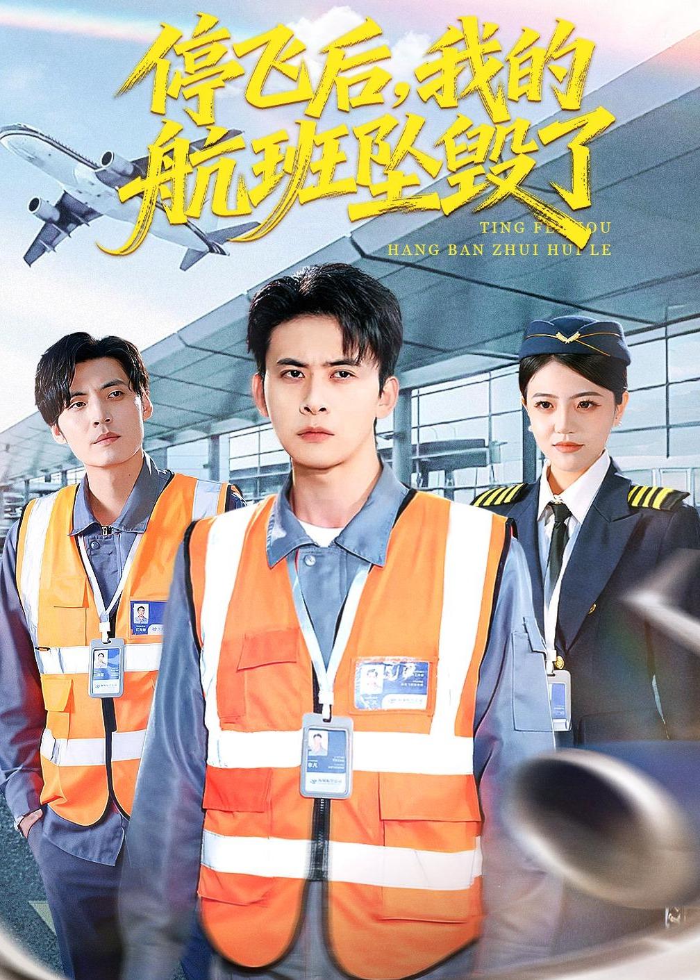 停飛后，我的航班墜毀了