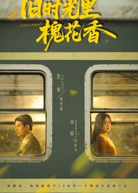 舊時(shí)光里槐花香