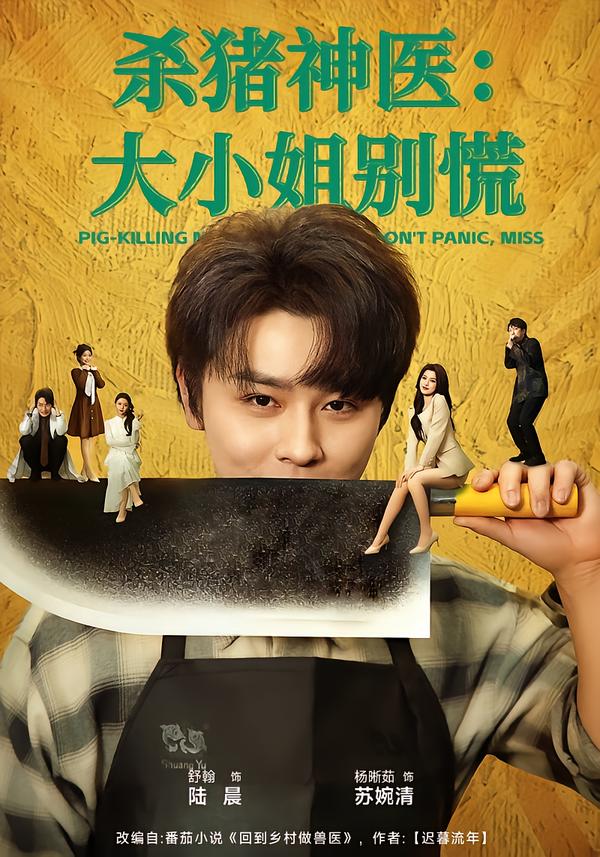 殺豬神醫(yī)，大小姐別慌