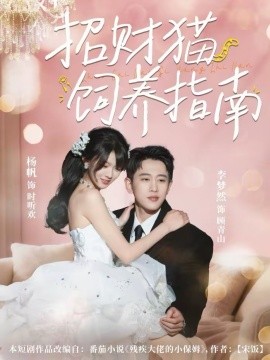 招財(cái)貓飼養(yǎng)指南