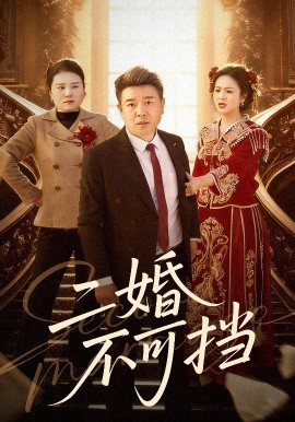 二婚不可擋